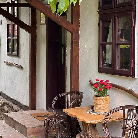 Apartman Etno Kuca Danica *