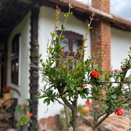 Apartman Etno Kuca Danica Senje