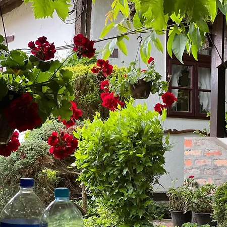 Apartman Etno Kuca Danica