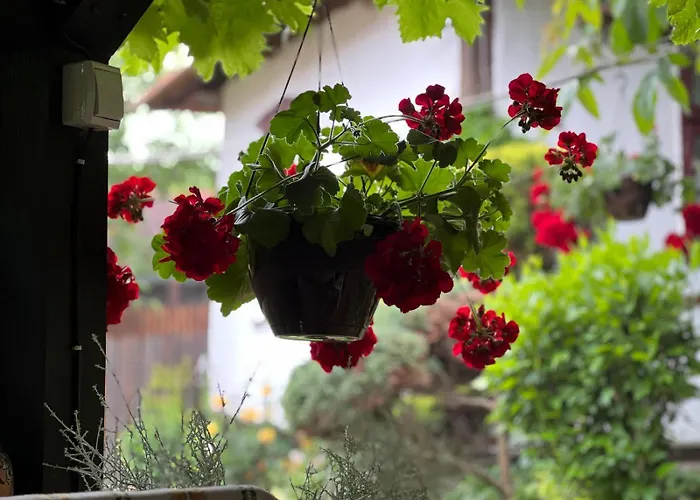 Etno Kuca Danica 아파트 Senje