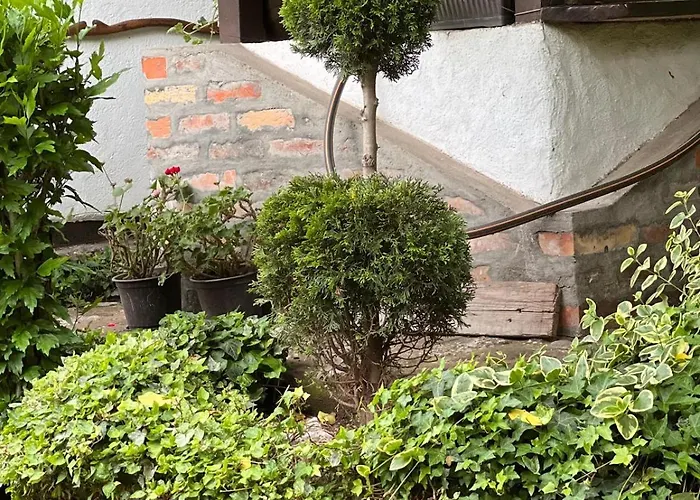 Etno Kuca Danica * Senje